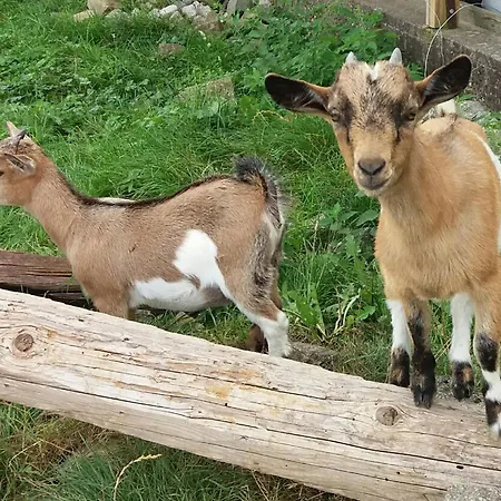 Nocleg ze śniadaniem D'hotes De Charme A La Ferme Freysz