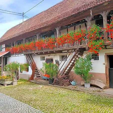 Bed & Breakfast D'hotes De Charme A La Ferme Freysz 3*