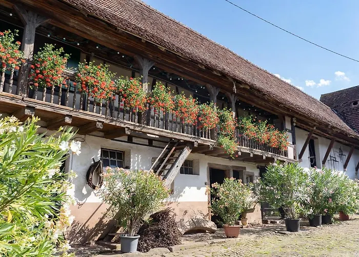 住宿加早餐酒店 D'hotes De Charme A La Ferme Freysz 3*