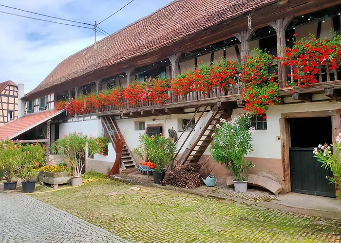 D'hotes De Charme A La Ferme Freysz